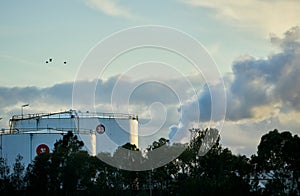 Two industrial fuel storage tanks in the morning light.