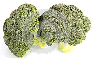 Two inflorescences of broccoli close-up isolated on white.