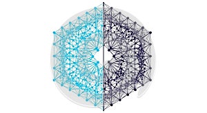 Complex network symbolizing data or neural connections typical in