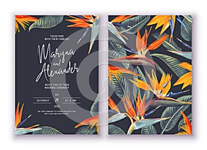 Templates postcards with place for text. Tropical flowers and leaves of Strelitzia Reginae. photo