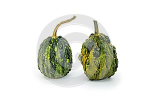 two Isolated decorative small pumpkins, green color on a white background