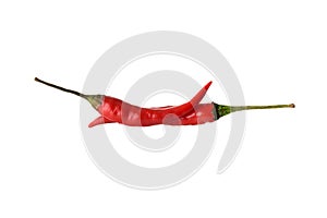 two isolated Hanoi Red Peppers Vietnamese Chili on white