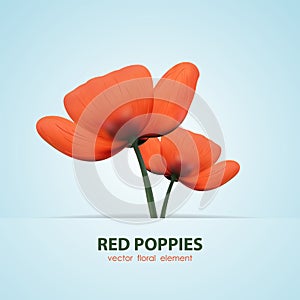 Two isolated poppy. Red flowers