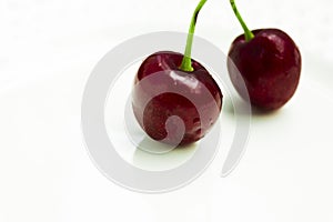 Two isolated red ripe and sweet cherries.copy space photo