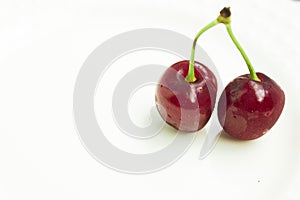 Two isolated red ripe and sweet cherries.copy space photo