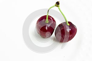 Two isolated red ripe and sweet cherries.copy space