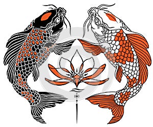 Two Japanese koi and water lily. Black red and white