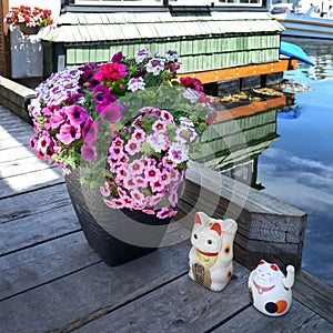 Two Japanese lucky cat Maneki-neko on a wooden floor next to a large flower pot. different types of pink flowers in a pot.