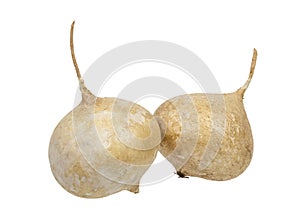 Vegetables isolated on a white background