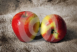 Two Jonagold Apples