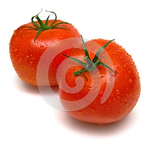 Two juicy fresh tomatoes