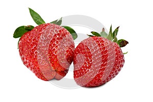 Two juicy strawberries isolated