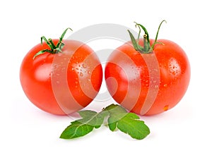 Two juicy tomatoes on white