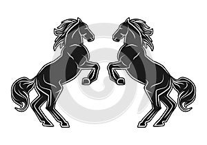 Two jumping horses