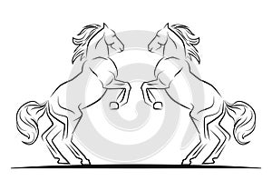 Two jumping horses