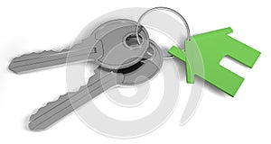 Two keys and a house tag