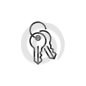 Two keys line icon