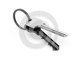 Two keys rendered and isolated on white