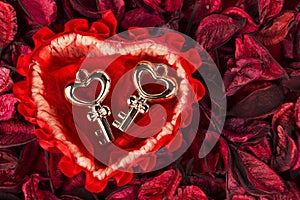 Two keys staying in a heart shaped basket