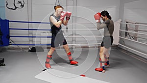 Two kickboxers are training on ringside in fight club kicking and punching.