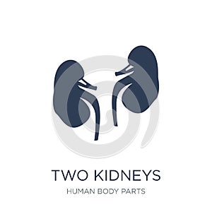 Two Kidneys icon. Trendy flat vector Two Kidneys icon on white b