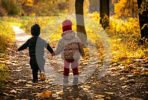 Two kids, boy and girl of two years old, walk hand in hand along path on warm autumn day in park