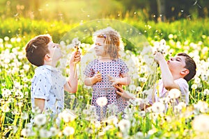 Two kids boys and little baby girl blowing on a dandelion flowers on the nature in the summer. Happy healthy toddler and