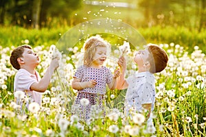 Two kids boys and little baby girl blowing on a dandelion flowers on the nature in the summer. Happy healthy toddler and