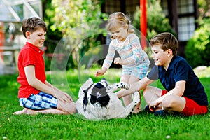 Two kids boys and little toddler girl playing with family dog in garden. Three children, adorable siblings having fun