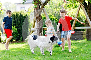 Two kids boys and little toddler girl playing with family dog in garden. Three children, adorable siblings having fun