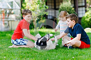 Two kids boys and little toddler girl playing with family dog in garden. Three children, adorable siblings having fun