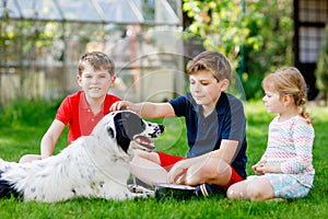 Two kids boys and little toddler girl playing with family dog in garden. Three children, adorable siblings having fun