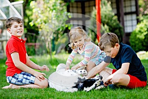 Two kids boys and little toddler girl playing with family dog in garden. Three children, adorable siblings having fun