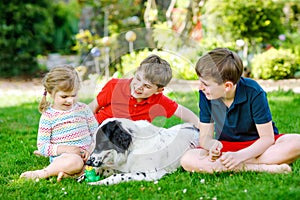 Two kids boys and little toddler girl playing with family dog in garden. Three children, adorable siblings having fun