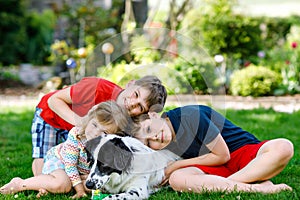 Two kids boys and little toddler girl playing with family dog in garden. Three children, adorable siblings having fun