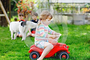 Two kids boys and little toddler girl playing with family dog in garden. Three children, adorable siblings having fun