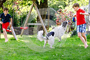 Two kids boys playing with family dog in garden. Laughing children, adorable siblings having fun with dog, with running