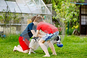 Two kids boys playing with family dog in garden. Laughing children, adorable siblings having fun with dog, with running