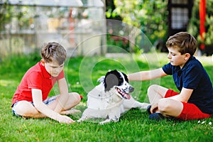 Two kids boys playing with family dog in garden. Laughing children, adorable siblings having fun with dog, with running