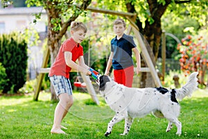 Two kids boys playing with family dog in garden. Laughing children, adorable siblings having fun with dog, with running