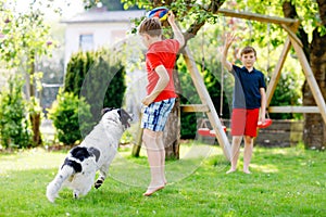 Two kids boys playing with family dog in garden. Laughing children, adorable siblings having fun with dog, with running