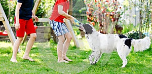 Two kids boys playing with family dog in garden. Laughing children, adorable siblings having fun with dog, with running