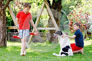 Two kids boys playing with family dog in garden. Laughing children, adorable siblings having fun with dog, with running