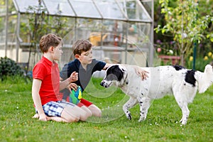 Two kids boys playing with family dog in garden. Laughing children, adorable siblings having fun with dog, with running