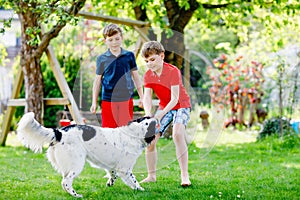 Two kids boys playing with family dog in garden. Laughing children, adorable siblings having fun with dog, with running