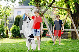 Two kids boys playing with family dog in garden. Laughing children, adorable siblings having fun with dog, with running