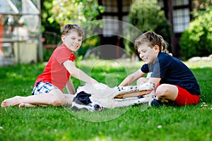 Two kids boys playing with family dog in garden. Laughing children, adorable siblings having fun with dog, with running