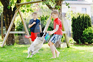 Two kids boys playing with family dog in garden. Laughing children, adorable siblings having fun with dog, with running