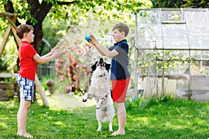 Two kids boys playing with family dog in garden. Laughing children, adorable siblings having fun with dog, with running