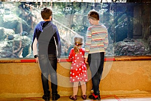 Two kids boys and toddler girl visiting together zoo aquarium. Three children watching fishes and jellyfishes. School